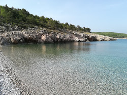 Supovica beach'in fotoğrafı küçük koy ile birlikte