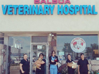 Our Pet Vets - Balboa Veterinary Hospital