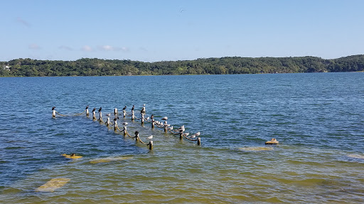 Department Store «T.J. Maxx», reviews and photos, 5500 Sunrise Hwy, Massapequa, NY 11758, USA