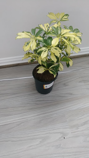 Home Improvement Store «The Home Depot», reviews and photos, 23575 U.S. 59, Porter, TX 77365, USA