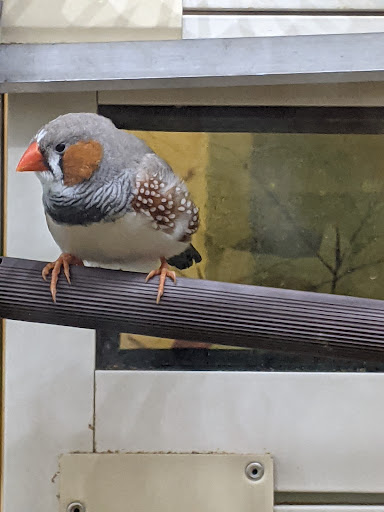 Pet Supply Store «PetSmart», reviews and photos, 1791 Oconee Connector Suite 130, Athens, GA 30606, USA