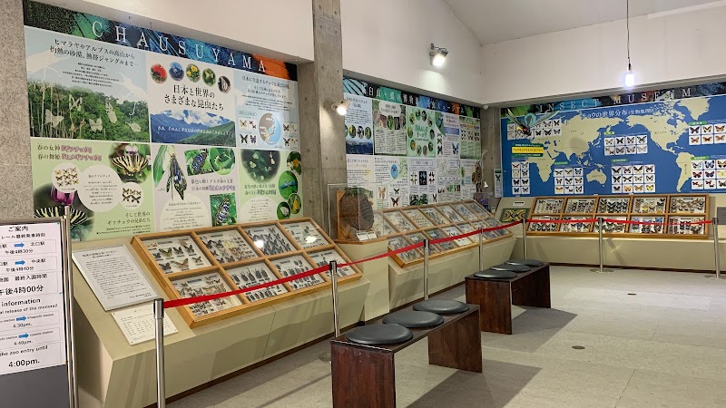 茶臼山・蝶の博物館