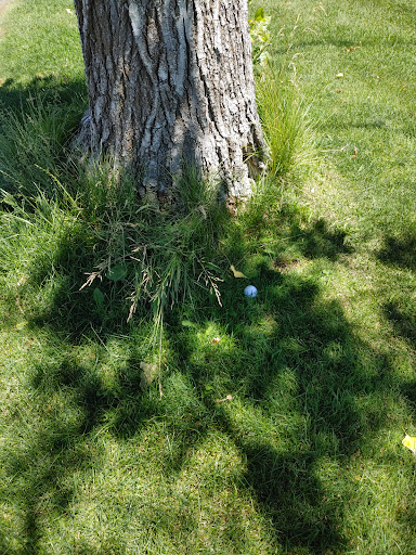 Golf Course «Washoe County Golf Course», reviews and photos, 2601 Foley Way, Reno, NV 89505, USA