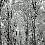 Photo n°4 de l'avis de Tiziana.' fait le 01/03/2022 à 09:45 sur le  Hotel Giubileo à Località Rifreddo, Pignola