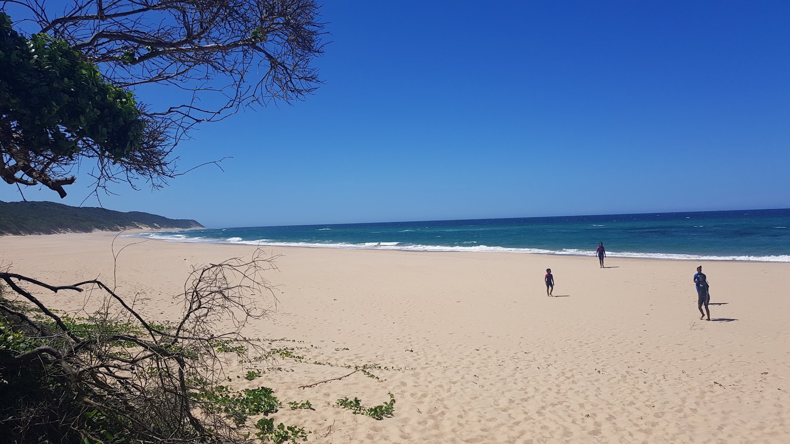 Photo de Black Rock beach avec plusieurs baies longues