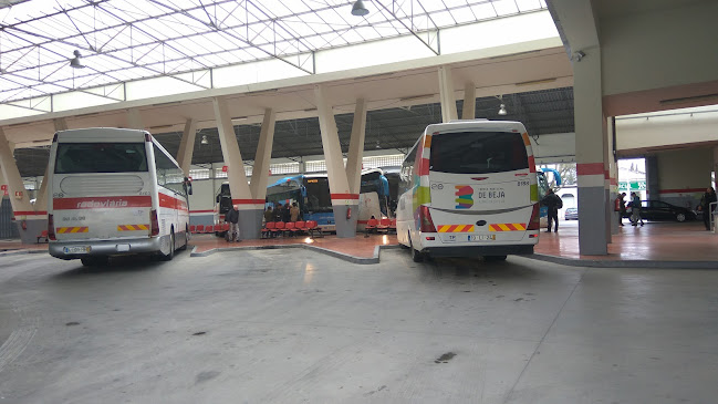 Avaliações doRede Expresso em Beja - Serviço de transporte