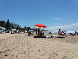 Alkantstrand beach'in fotoğrafı imkanlar alanı