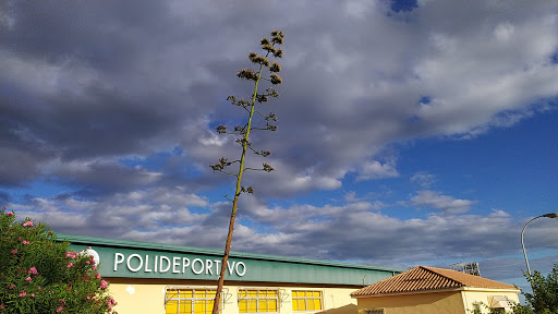 Polideportivo Municipal de Arroyo de la Miel