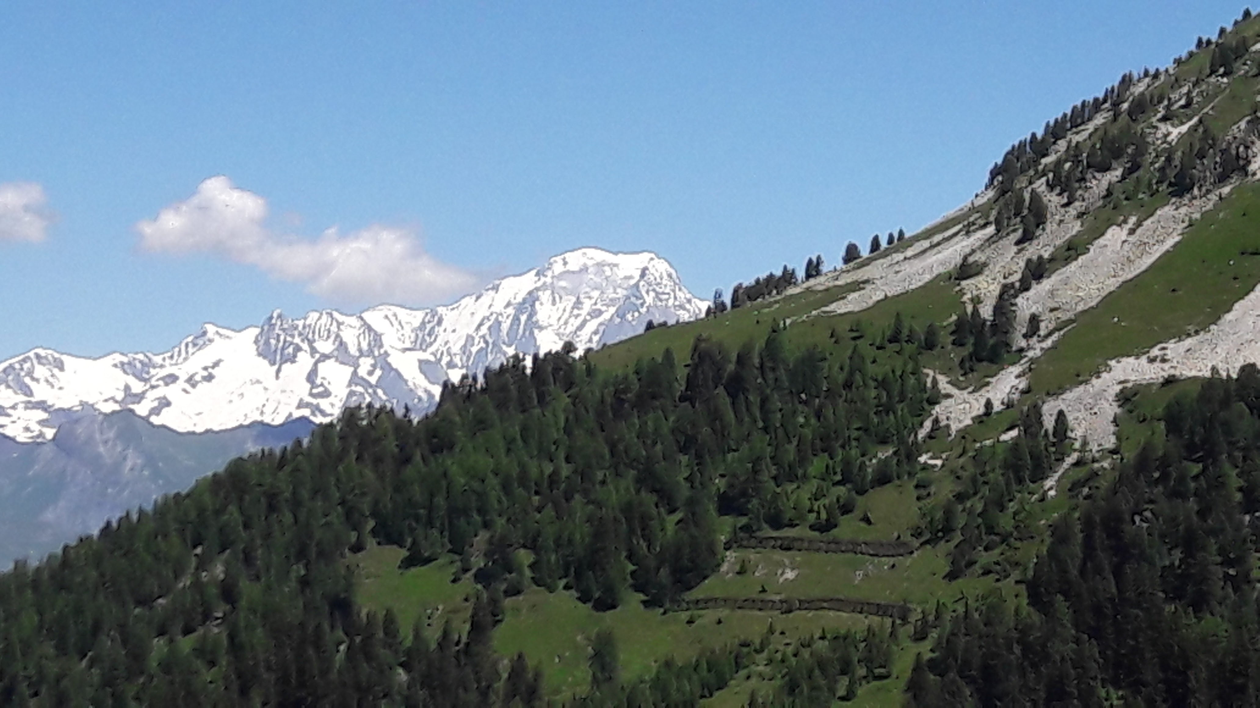 Photo n° 5 de l'avis de Christophe.e fait le 21/07/2017 à 09:07