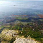 Photo n°10 de l'avis de daniele.a fait le 16/07/2023 à 06:21 sur le  Baia Del Sole Hotel à RAGUSA