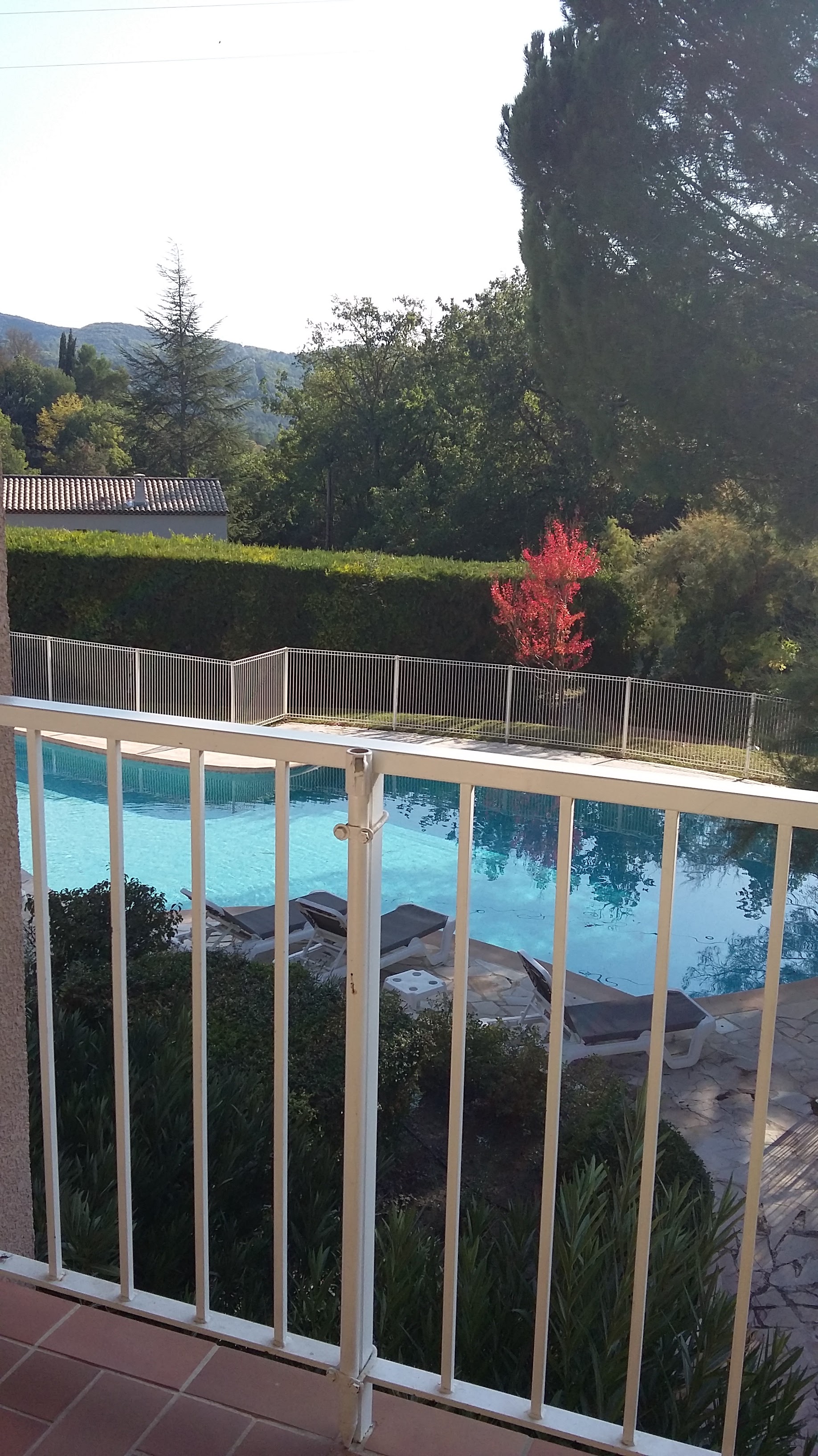 Photo n° 1 de l'avis de Ag39140@gmail.com.i fait le 26/10/2019 à 13:23