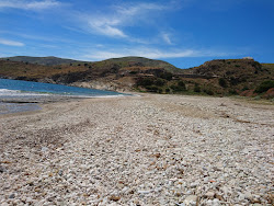 Karthea beach'in fotoğrafı imkanlar alanı