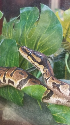 Pet Supply Store «Petco Animal Supplies», reviews and photos, 3380 124th Ave NW, Coon Rapids, MN 55433, USA