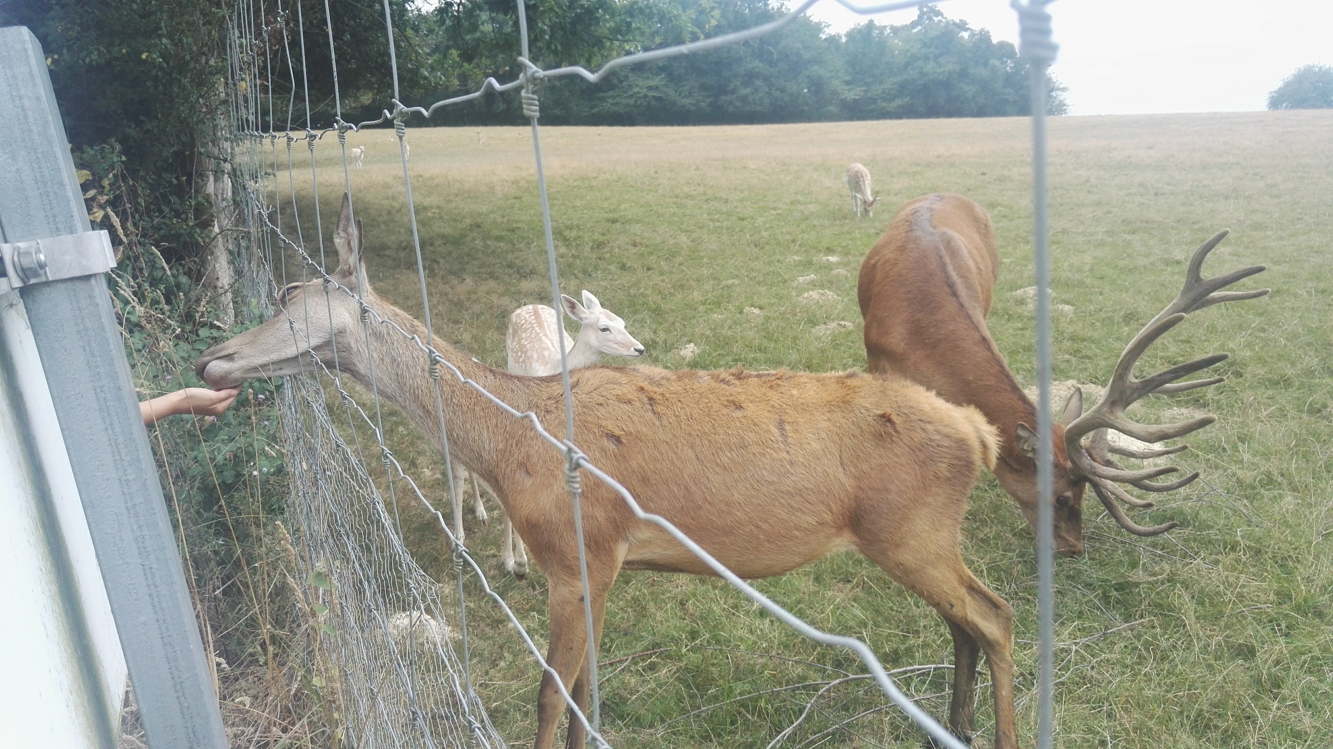 Photo n° 2 de l'avis de Lionel.t fait le 07/08/2018 à 16:59