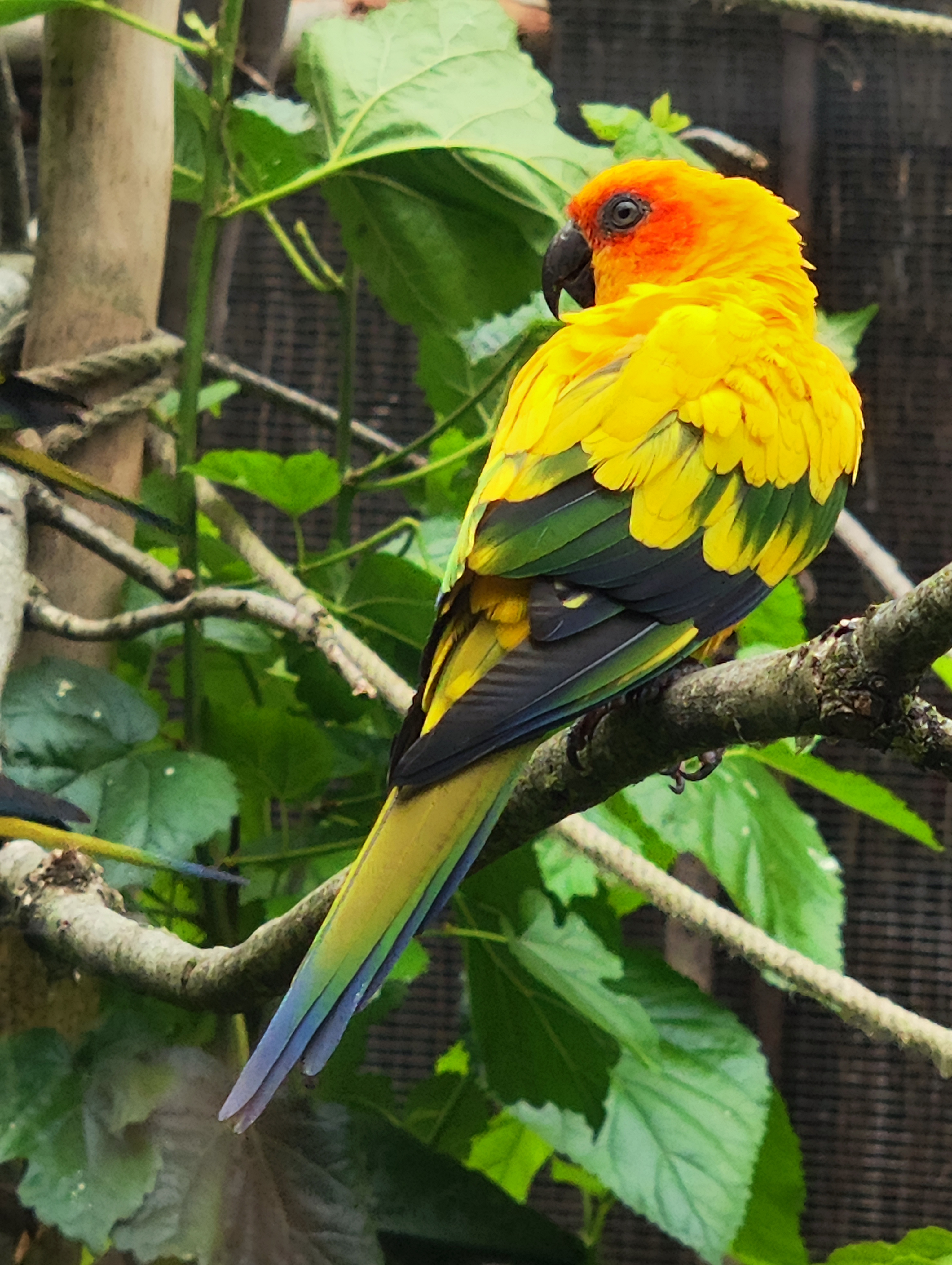 Photo n° 2 de l'avis de Aurelie.o fait le 03/08/2023 à 21:29