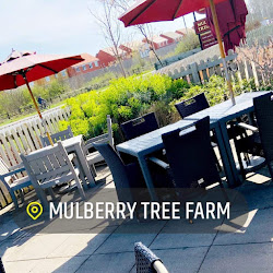 Mulberry Tree Farm