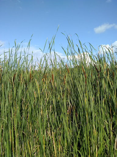 Water Park «Pioneer Waterland & Dry Fun Park», reviews and photos, 10661 Kile Rd, Chardon, OH 44024, USA