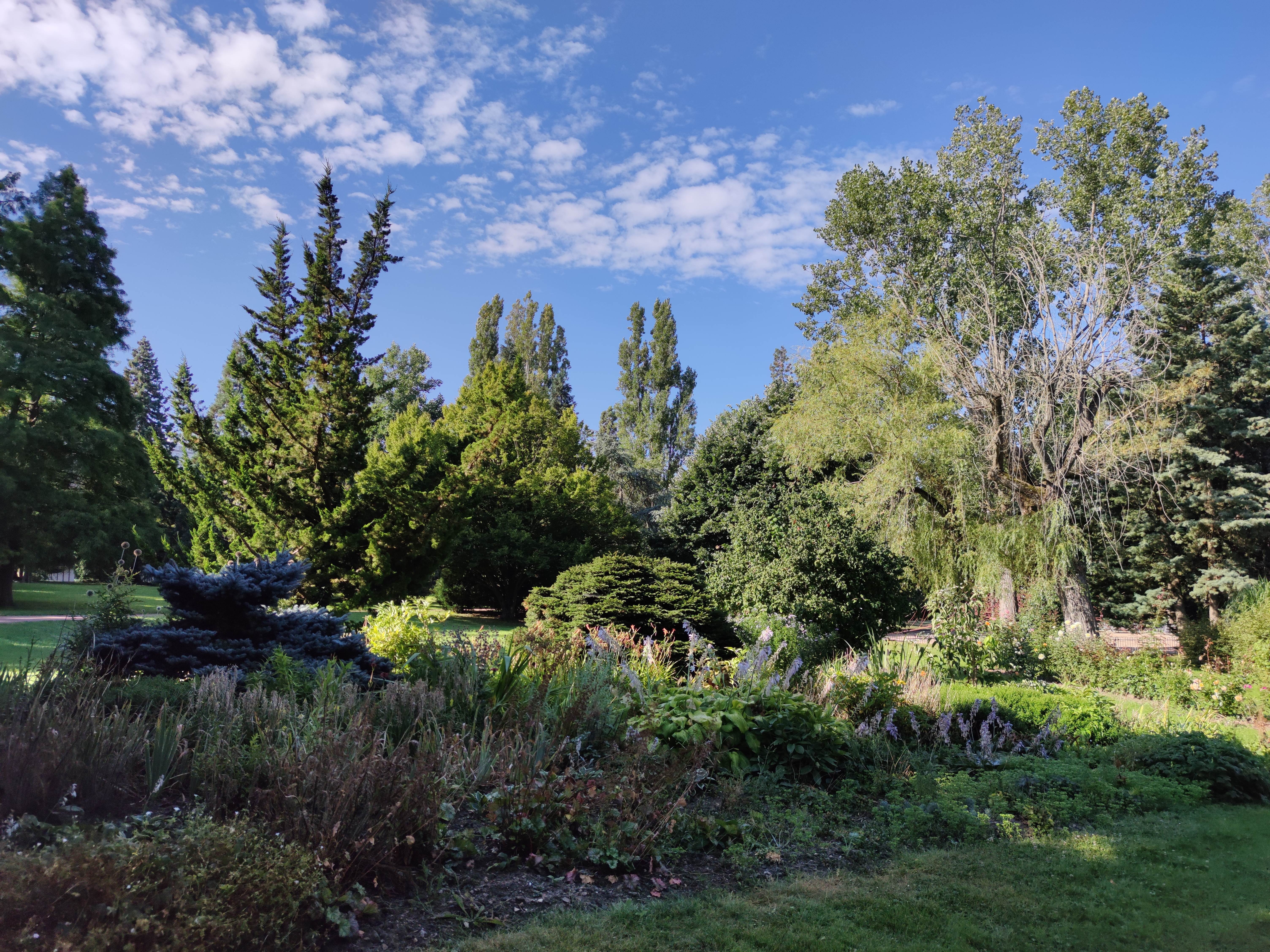 Photo n° 5 de l'avis de Alexandre.a fait le 03/09/2021 à 12:27