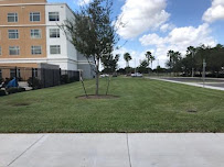 ProCuts Lawn & Landscaping - Photo 9 - Car repair in , McAllen