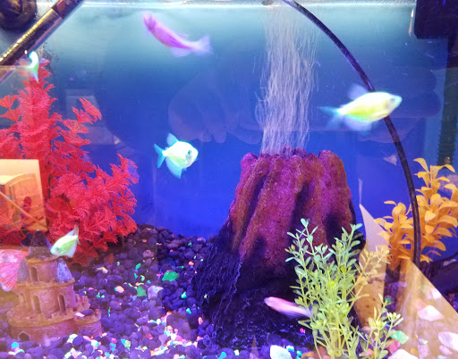 Pet Store «Pet World Warehouse Outlet», reviews and photos, 2984 S 108th St, Milwaukee, WI 53227, USA