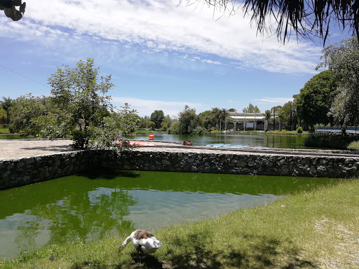 Laguna Del Parque Ecológico