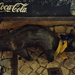 Photo n°2 de l'avis de THIEF.h fait le 07/09/2023 à 19:42 sur le  Restaurante Toca do Gato - Prato do dia à Coimbra