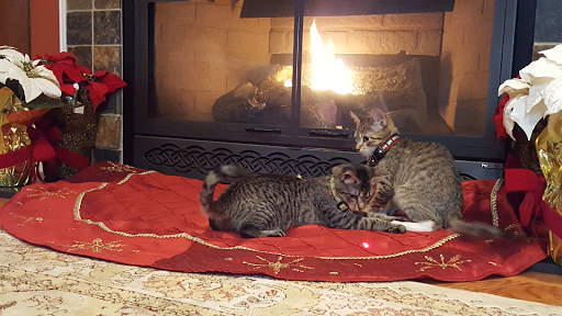 74 W Main St, Chester, NJ 07930, USA