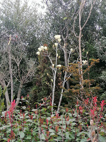 PLANTAS NATURAIS E ARTIFICIAIS DO -Daniel Faria - Floricultura