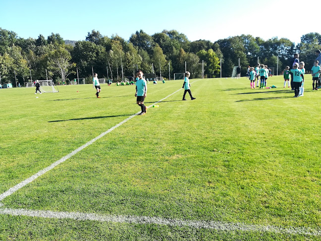 Comentarii opinii despre TJ Libouchec