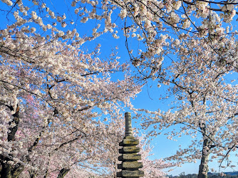 Japanese Pagoda