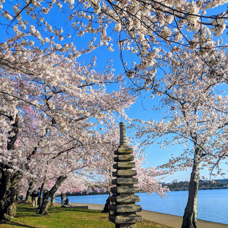 Japanese Pagoda