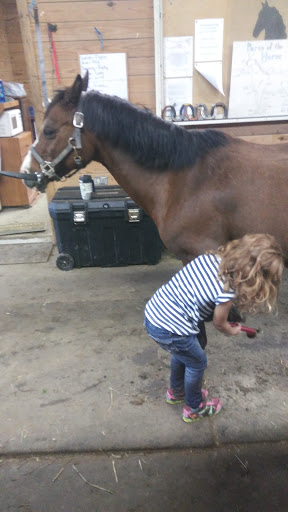 Horse Riding School «Horseng Farm LLC», reviews and photos, 6475 Warden Rd, New Tripoli, PA 18066, USA