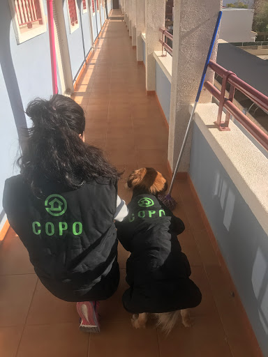 Limpiezas y conserjerias copo, S.L en Oropesa del Mar, Castellón de la Plana