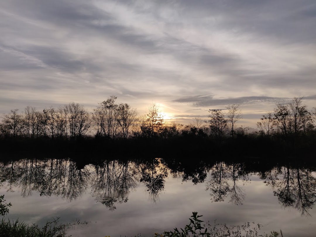 Pine Meadows Conservation Area