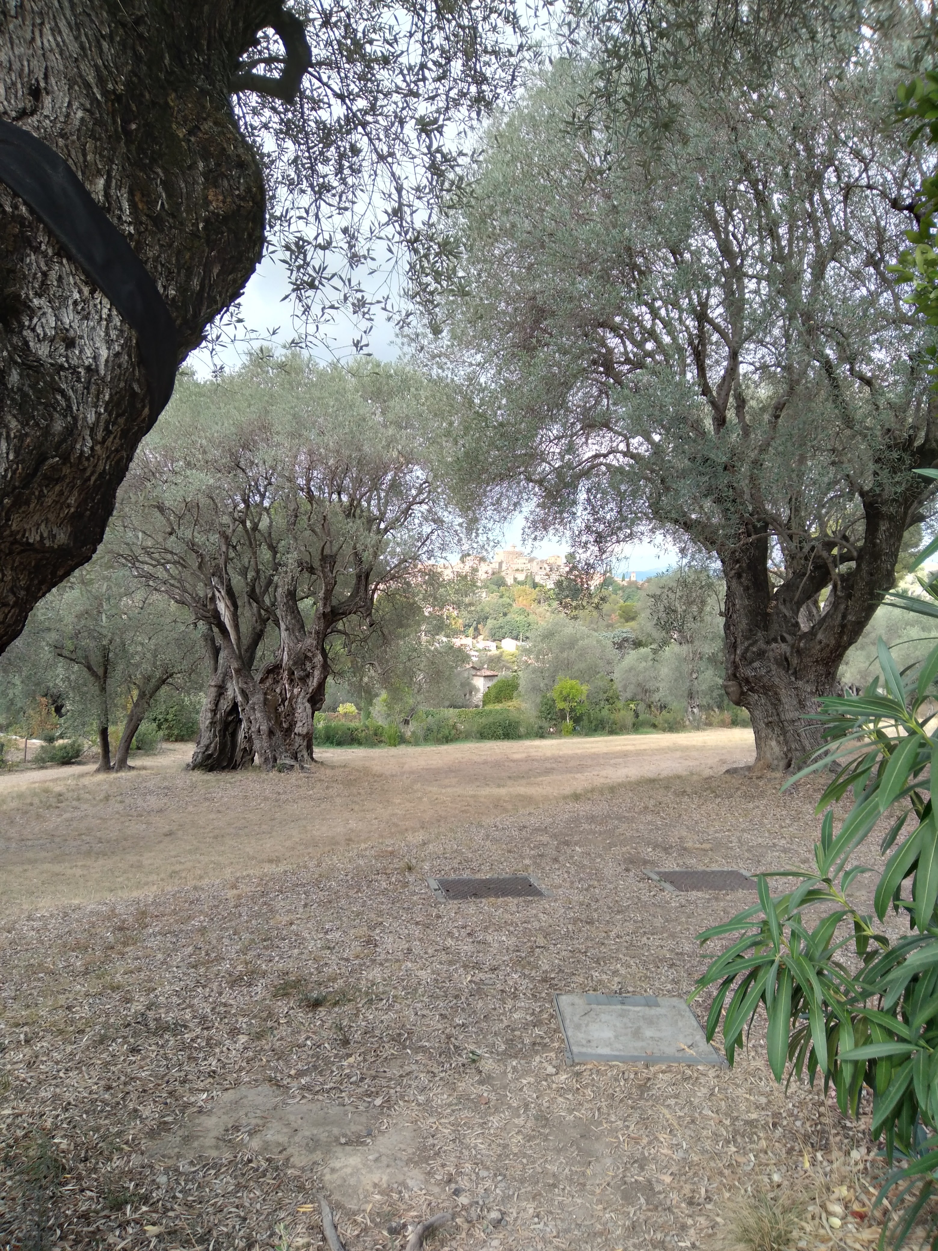 Photo n° 3 de l'avis de Victoria.c fait le 03/10/2022 à 12:52