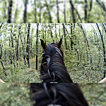 Photo n° 5 de l'avis de Gaetan. fait le 22/04/2019 à 17:08 pour Ferme Equestre RandosFjords à Parisot