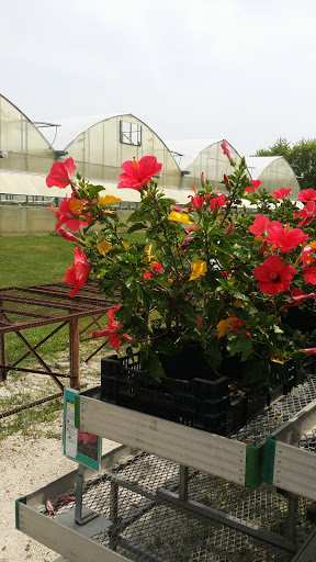 Produce Market «Didier Farms», reviews and photos, 16678 Aptakisic Rd, Lincolnshire, IL 60069, USA