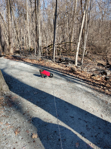 Park «Macgregor Park», reviews and photos, Macgregor Park Rd, Westfield, IN 46074, USA