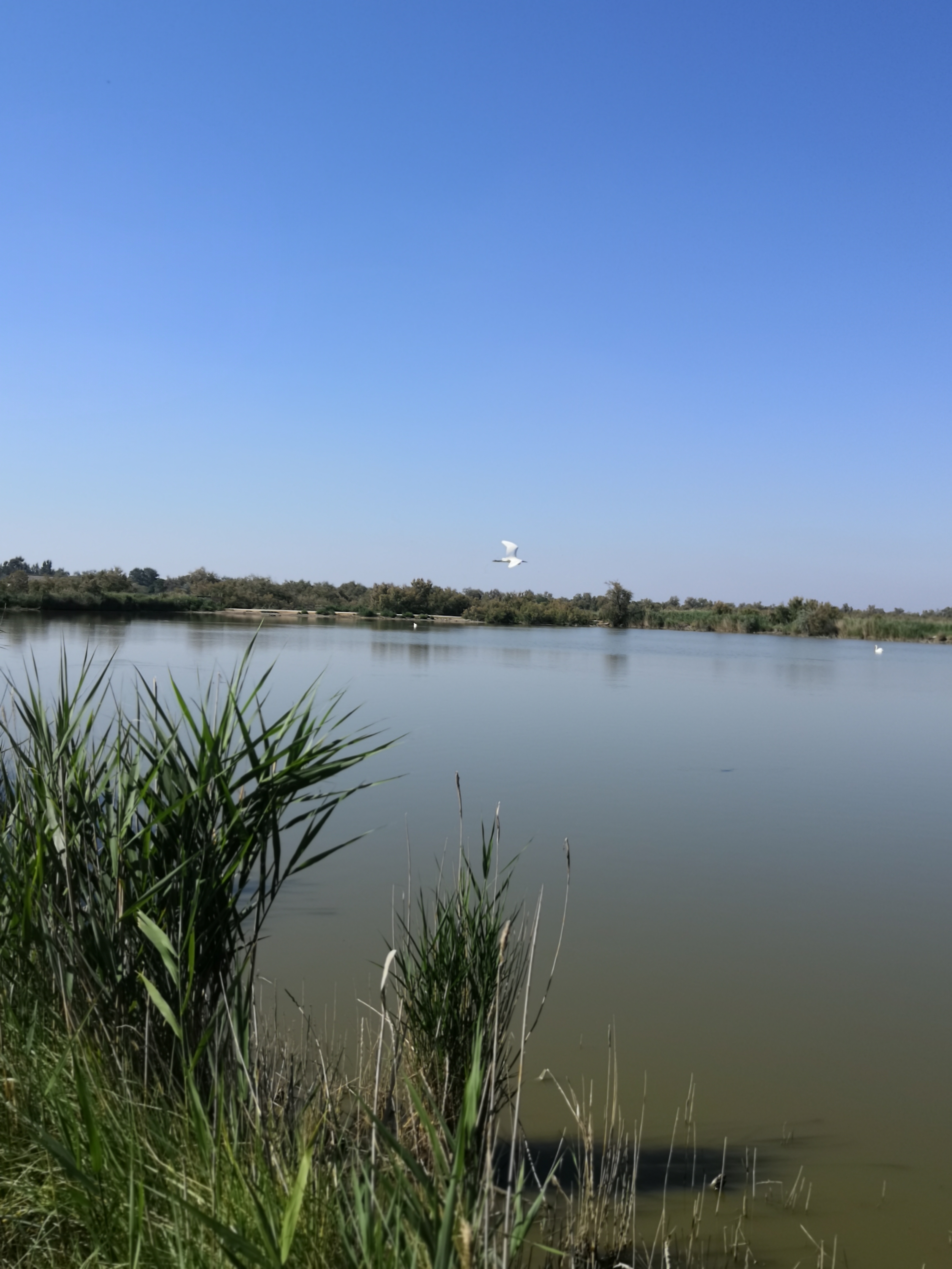 Photo n° 1 de l'avis de Ugo. fait le 01/06/2019 à 11:32