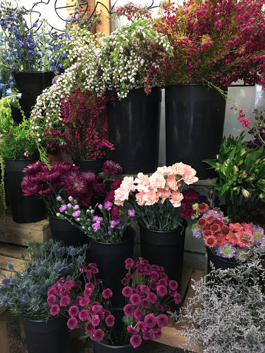 Plant Nursery «Sturtz & Copeland Florist & Greenhouses», reviews and photos, 2851 Valmont Rd, Boulder, CO 80301, USA