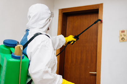 Deratyzacja, Dezynfekcja, Dezynsekcja Robert Motta