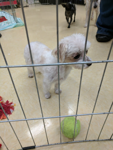 Pet Supply Store «Petco Animal Supplies», reviews and photos, 645 S Green Valley Pkwy, Henderson, NV 89052, USA