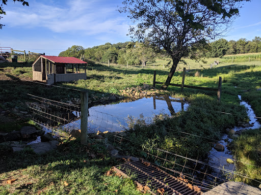 Dairy Farm «Milky Way Farm», reviews and photos, 521 E Uwchlan Ave, Chester Springs, PA 19425, USA
