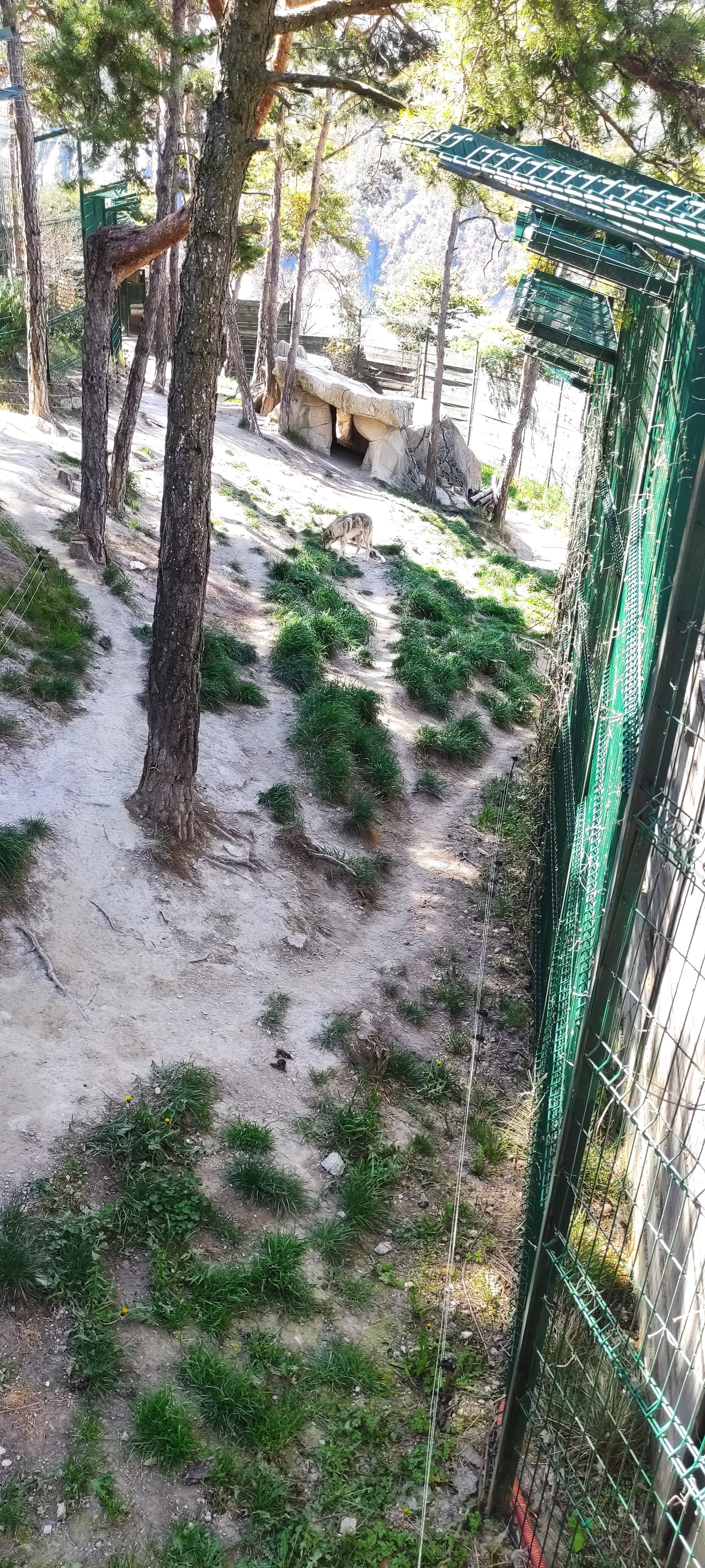 Photo n° 10 de l'avis de Alexia.a fait le 20/04/2023 à 07:36