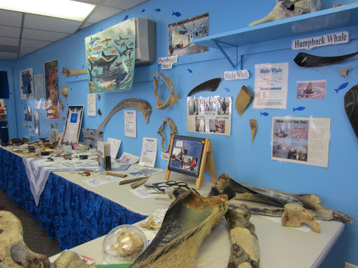 Aquarium «Explore the Ocean World, llc Oceanarium», reviews and photos, 367 Ocean Blvd, Hampton, NH 03842, USA