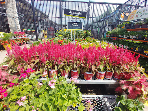 Home Improvement Store «The Home Depot», reviews and photos, 4121 Crain Hwy, Bowie, MD 20716, USA