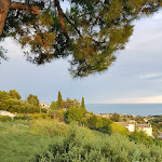 Photo n°3 de l'avis de CLAUDIO.O fait le 09/07/2018 à 06:38 sur le  Bar Trattoria Rosso Conero à Sirolo