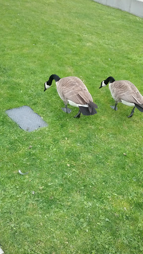 History Museum «Museum of History & Industry (MOHAI)», reviews and photos, 860 Terry Ave N, Seattle, WA 98109, USA