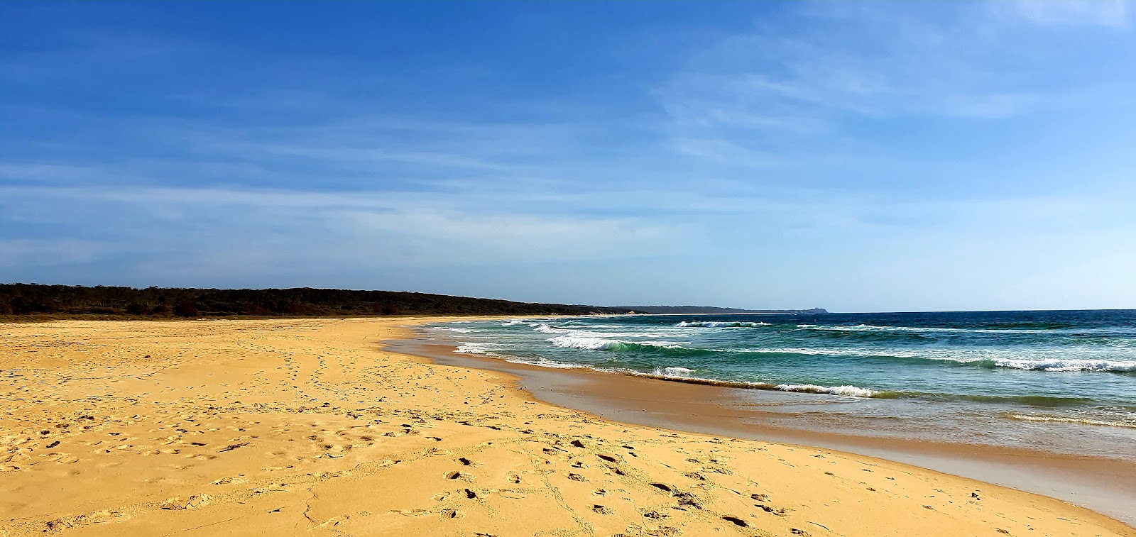 Photo de Josh's Beach situé dans une zone naturelle