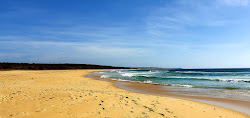 Photo de Josh's Beach situé dans une zone naturelle